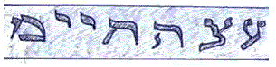 'The Tree of Life' [Etz Ha Chaim]