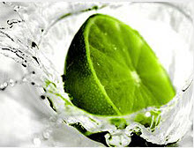 LimewirePlus